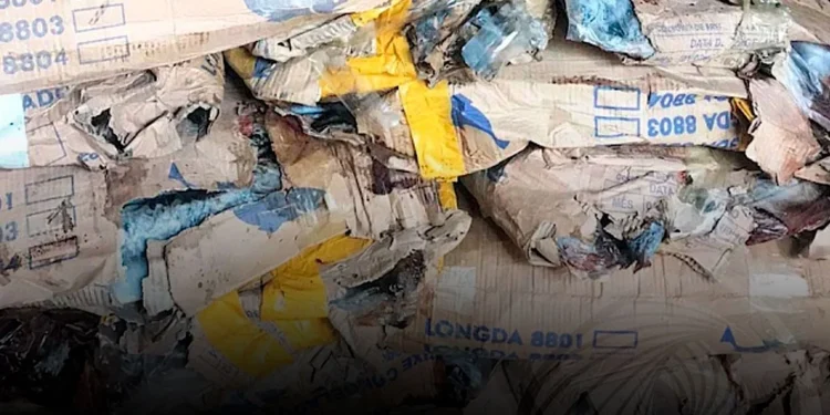 Dois cidadãos chineses detidos por venda de pescado em mau estado de conservação em Mbanza Congo.