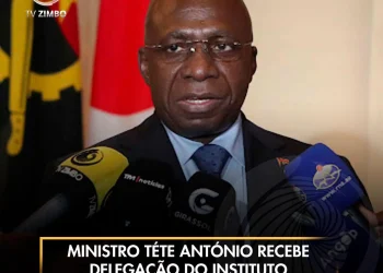 Ministro Téte António recebe delegação do Instituto Brasil-África