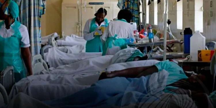 Registados seis óbitos e 225 novos casos de cólera nas últimas 24 horas