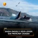 Baleia engole e solta jovem que praticava caiaque