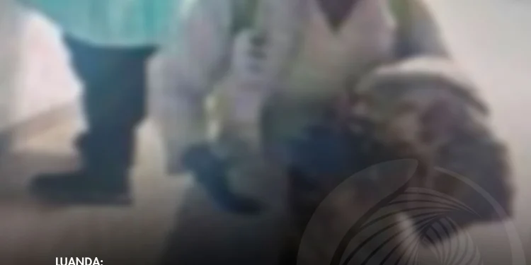 Falsa médica rapta recém-nascida no Centro Materno-Infantil do Benfica