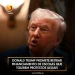 Donald Trump promete retirar financiamento de escolas que tolerem protestos ilegais