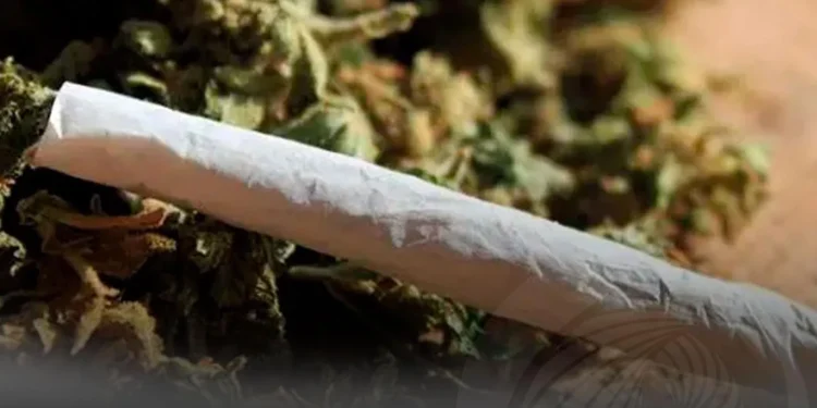 Angola intensifica o seu compromisso na luta contra as drogas