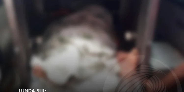 Sobe para cinco o número de mortos do incêndio em Saurimo