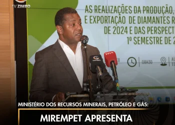 Ministério dos Recursos Minerais, Petróleo e Gás: