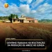 Governo trabalha na reactivação da produção de arroz no Luinga