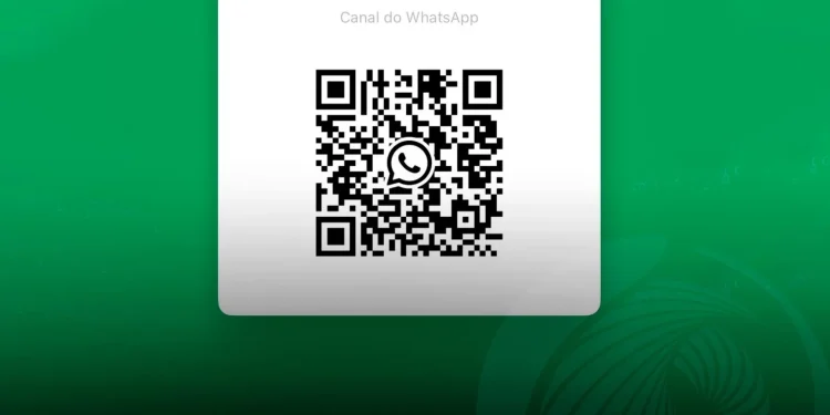 TV ZIMBO cria canal oficial no WhatsApp