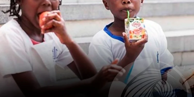 Mais de cinco milhões de crianças vão beneficiar de alimentação escolar