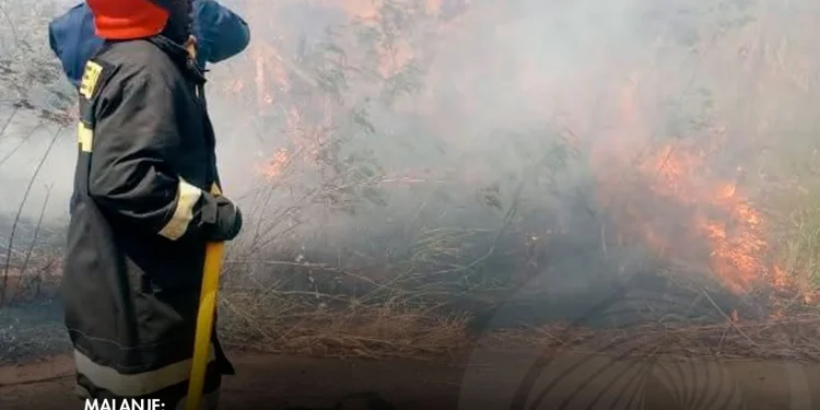 Corpo de bombeiros contêm Incêndio e evitam propagação em Laúca