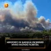 Aeroporto de Marselha encerrado devido incêndio florestal