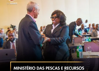 Ministério das Pescas e Recursos Marinhos relança Balcão Online