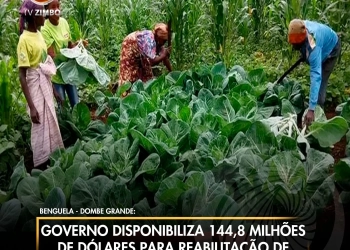 Governo disponibiliza 144,8 milhões de dólares para reabilitação de infra-estruturas agrícolas
