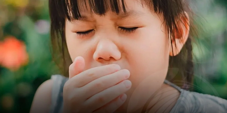 Tosse convulsa regressa à Europa e EUA com casos acima dos níveis pré-pandémicos