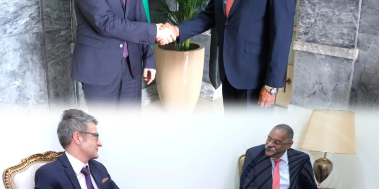 Angola e Sérvia reforçam cooperação bilateral
