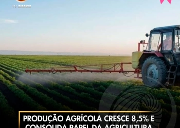Produção agrícola cresce 8,5% e consolida papel da agricultura na economia nacional