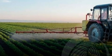 Produção agrícola cresce 8,5% e consolida papel da agricultura na economia nacional