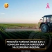 Produção agrícola cresce 8,5% e consolida papel da agricultura na economia nacional