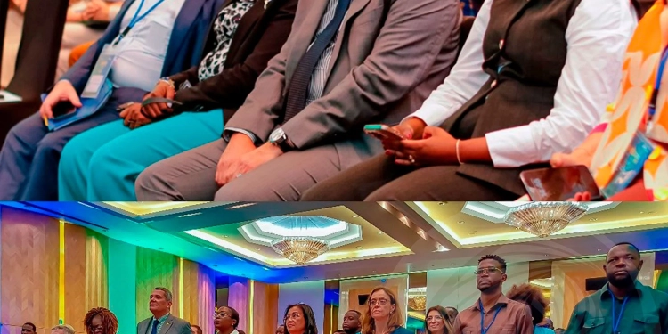 Ministro Rui Falcão destaca protagonismo juvenil no Fórum UA-UE em Luanda