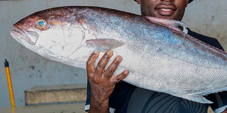 Governo de Luanda assume gestão do Centro de Apoio à Pesca da Ilha do Cabo